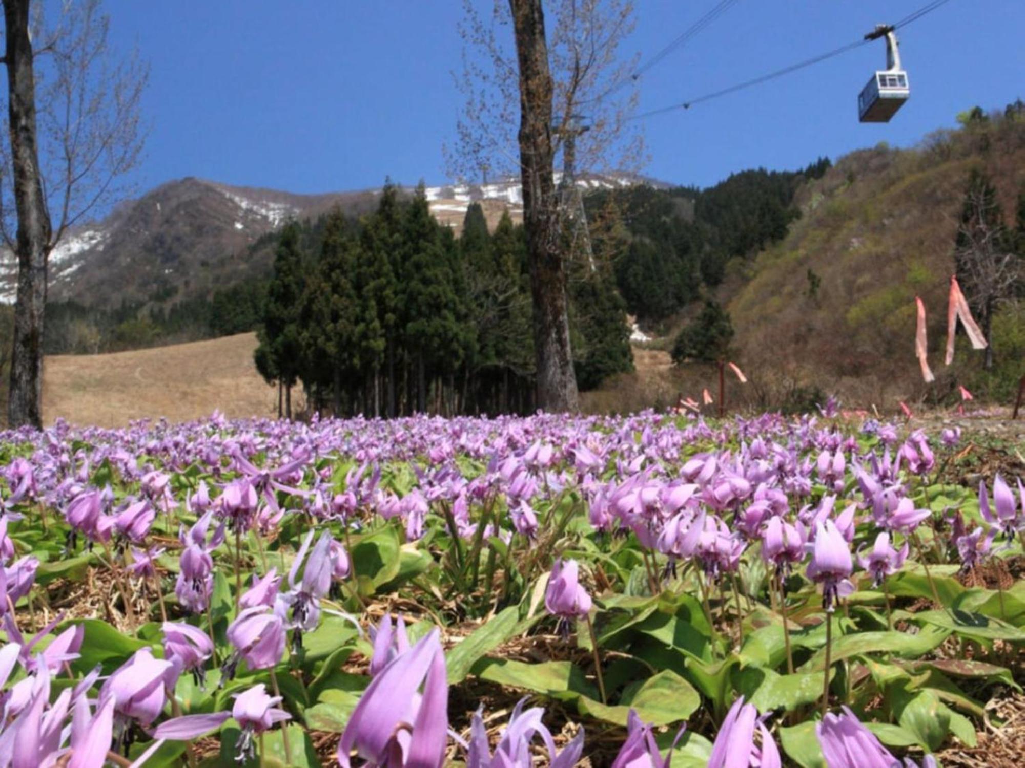 Pension Come Relax Tatami-Room 12 Tatami Mats- Vacation Stay 14986 Minamiuonuma Exterior foto